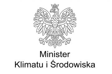 Wykonanie Wielkoobszarowej Inwentaryzacji Stanu Lasu w kraju w latach 2020-2024